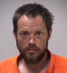 Man accused of stabbing Kalamazoo-area store clerk charged with 2 felonies 