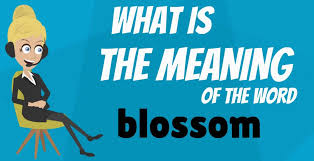 Blossom meaning, definition, usage, etymology, pronunciation, examples, parts of speech, derived terms, inflections collated together for your perusal. What Is Blossom Blossom Meaning Blossom Definition Blossom Dictionary How To Pronounce Blossom Video Dailymotion