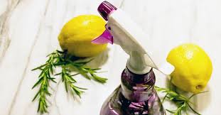 Mosquito repellent homemade mosquito repellent from home mosquito repellent. Homemade Bug Spray Natural Recipes For Your Skin Home And Plants