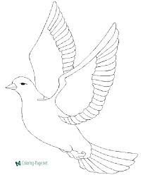 It is perfect for preschoolers and kindergarteners. Bird Coloring Pages