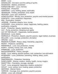 Flowers For Spells Magical Herbs Magickal Herbs Herbalism