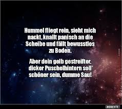 Home how to order about us. 48 Lustige Bilder Hummel Hummel Lustig Debeste