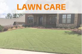 Our guide on starting a lawn care business covers all the essential information to help you decide if this business is a good match for you. Best Lawn Care Company In Lawrenceville Ga Strongarm Landscaping