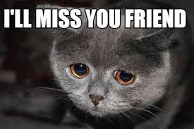 Meme Creator Funny I Ll Miss You Friend Meme Generator At Memecreator Org