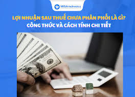 Lợi nhuận sau thuế chưa phân phối là gì? Công thức và cách tính CHI TIẾT