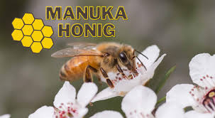 Umso höher der mgo wert, desto teurer der manuka honig. Manuka Honig Anwendung Inhaltsstoffe Wirkung Test