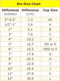 Fancy Fun Femmes The Bra Guide Autostraddle