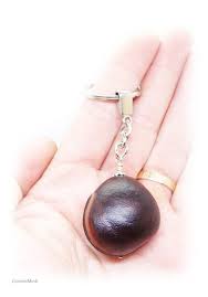 Image result for Macropsychanthus