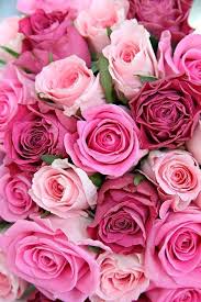 Iphone X Wallpaper Hd 1080p Pink Tecnologist Pink Flowers Flower Wallpaper Flowers Bouquet