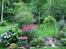 Stargazers Stargazer Lily Garden Design Garden Beds