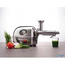 Видео extracteur à jus super angel pro 7500 jus de légumes канала nutritioncrue.com. Extracteur De Jus Lent A Doubles Vis Angel 7500