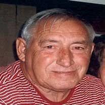 Donald James Necaise Obituary 2010