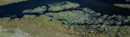 Handgepäck) auf den flügen erlaubt! Botswana Rundreise Echte Erlebnisse Mit Taruk