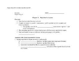 Anatomy Chapter 16 Reproductive System By Rebekah Branka Tpt