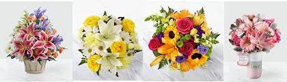 24/7 customer service · same or next day delivery The 8 Best Options For Flower Delivery In Santa Rosa 2021