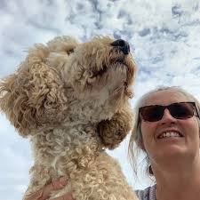 Best place to purchase a new mattress TIA