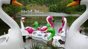 Ein sehr schöner und gepflegter park lädt zum spazieren. Einrichtungen Und Gastronomie Landeshauptstadt Saarbrucken