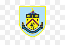 Fulham also competed in the fa cup and the efl cup. Premier League Logo