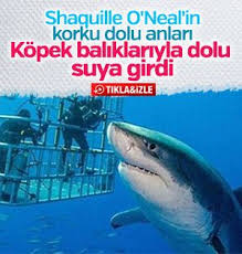 Shaquille O Neal Kopek Baliklariyla Dolu Suya Daldi Kopek Basketbolcular Balik