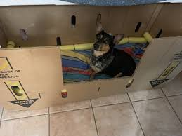 10 Whelping Box Whelping Box Crates Puppies