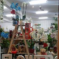 Hormigo Floristas