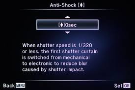 When printing the application, make sure the image of the application covers the entire page. Olympus Updates Om D E M1 With Electronic First Curtain Anti Shock Digital Photography Review