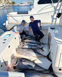 Drew Vu (@drewanhvu) • Instagram photos and videos