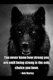 Quote pictures pages latest people movie quotes tv quotes. Afbeeldingsresultaat Voor Alpha Female Wolf Quotes Wolf Quotes Words Quotes About Strength