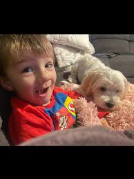 Kailan Voigt (@itskailanvoigt) • Instagram photos and videos