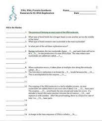 Protein synthesis worksheet answer key part b. Dna Replication And Protein Synthesis Worksheet Answers Worksheet List