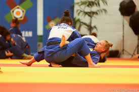 Muscle damage in judo training - Judo Training