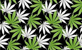 How to draw a weed leaf. Marijuana Leaf Drawing Stock Illustrations 790 Marijuana Leaf Drawing Stock Illustrations Vectors Clipart Dreamstime
