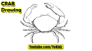 Continue adding to the body to draw in the legs. How To Draw A Crab Youtube