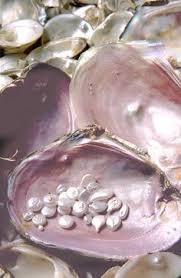 10 pearls in oysters ideas pearls oyster pearl wholesale pearls pearls oyster pearl wholesale pearls