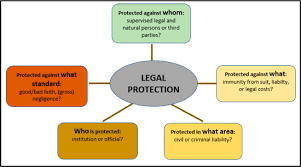 A customer has the right to request a refund if the quality of the assignment delivered does not meet their expectations. Legal Protection Liability And Immunity Arrangements Of Central Banks And Financial Supervisors In Imf Working Papers Volume 2018 Issue 176 2018