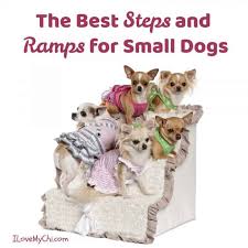 Dog steps and ramps are a great solution to help your dog get around. The Best Steps And Ramps For Small Dogs I Love My Chi