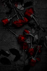 3 You Have Secrets Eternity Asked Blacke As He Rose From His Chair His Eyes Narrowed Dangerously Doesn T Everyo Gothic Rose Rose Wallpaper Red Aesthetic