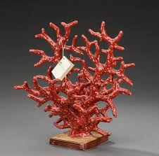 Corals are marine invertebrates within the class anthozoa of the phylum cnidaria. Ceramicanovita Skulptur Iform Af Koral Af Keramik Lauritz Com