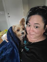 Yorkie companion love and appreciation