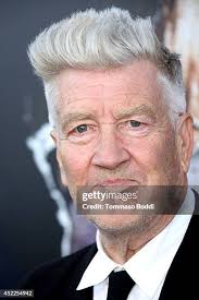 700 Ray Lynch Photos & High Res Pictures