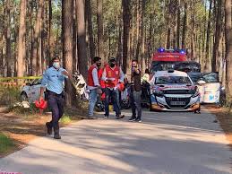 Um avião agrícola, caiu e o piloto morreu. Co Piloto Morre Em Acidente No Rali Vidreiro Regiao De Leiria