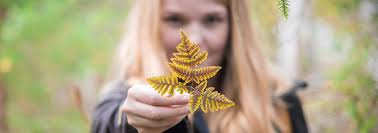 Can you believe? This is how 15 minutes in a forest affects you!