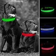 Dream No 1 Led Dog Collars Usb Rechargeable Safety Waterproof Ultra Bright Dog Collars Light Up Dogs Collars For S In 2020 Dog Collar Light Dog Safe Led Dog Collar