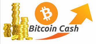 This was mainly because bitcoin cash halving took place several weeks before bitcoin halving. Why Is Bitcoin Cash Spiking Hacker Noon