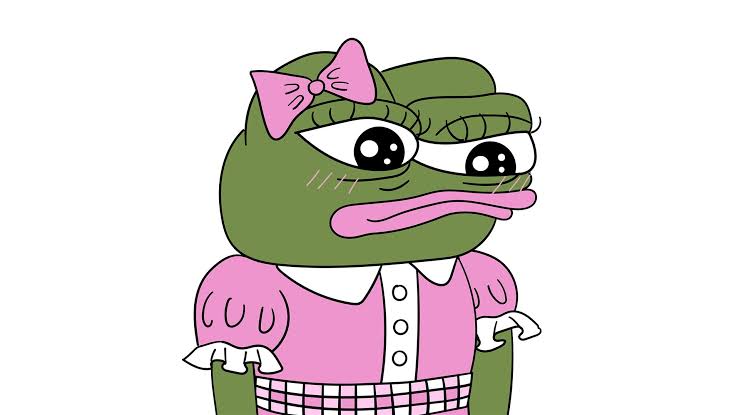 https://encrypted-tbn0.gstatic.com/images?q=tbn:ANd9GcQZQs85h6NWrzVBEYpSQjegjbVf0hhEceIAWN4daDgTTlrU3rySCa5qLHRt&s=10