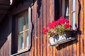 What to do with rosebud plug geranium? 252 Red Geraniums Window Box Photos Free Royalty Free Stock Photos From Dreamstime
