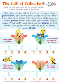 Each level of the book conveys similar concepts images and vocabulary. 2nd Grade Science Worksheets And Free Printables
