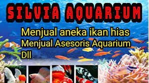 Ini caranya menyiapkan akuarium ikan idaman untuk pemula. Silvia Interior Aquarium Home Facebook