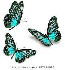 Imagenes Similares Fotos Y Vectores De Stock Sobre Blue Butterfly Flying Isolated On White Backgr Disenos De Unas Dibujos Tumblr A Color Mariposas De Colores