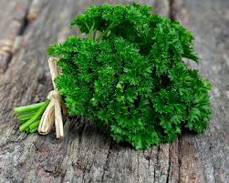 We did not find results for: How To Grow Parsley